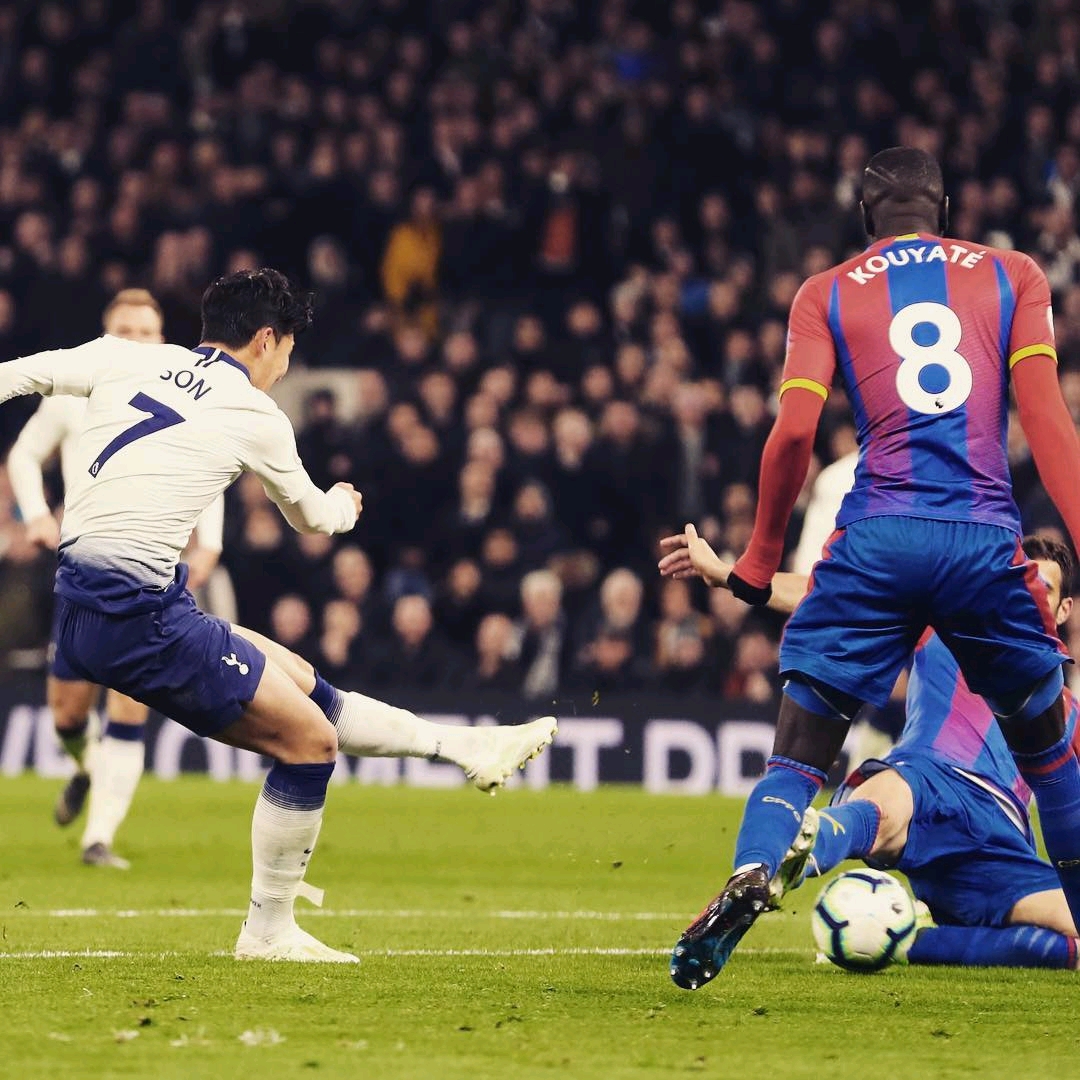 从社交媒体 从社交媒体